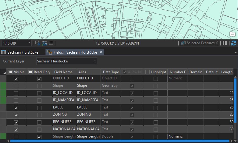 Attributfelder in ArcGIS Pro 