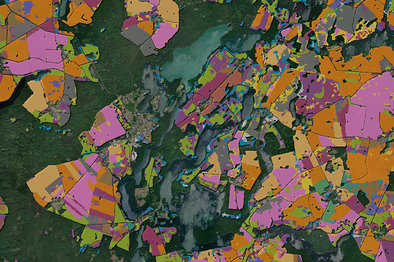 Satellitenbild mit farblich dargestellten Baum- und Kulturartenflächen rund um Seen, Wälder und landwirtschaftlich genutzte Gebiete in Deutschland.