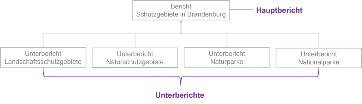 Schematische Darstellung der Berichtsstruktur mit einem Hauptbericht zu Schutzgebieten in Brandenburg und vier zugehörigen Unterberichten für Landschaftsschutzgebiete, Naturschutzgebiete, Naturparke und Nationalparke.