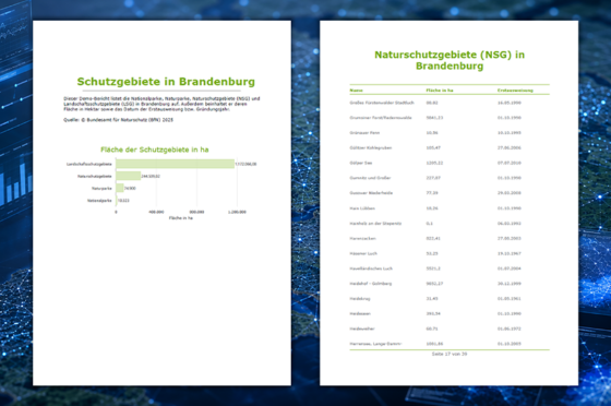 Beispiel eines in ArcGIS Pro erstellten Berichts zu Schutzgebieten in Brandenburg mit Deckblatt, Flächendiagramm der Schutzgebietskategorien und tabellarischer Auflistung von Naturschutzgebieten.
