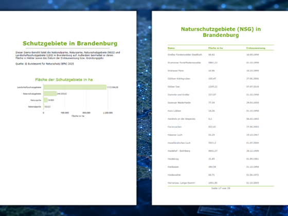 Beispiel eines in ArcGIS Pro erstellten Berichts zu Schutzgebieten in Brandenburg mit Deckblatt, Flächendiagramm der Schutzgebietskategorien und tabellarischer Auflistung von Naturschutzgebieten.
